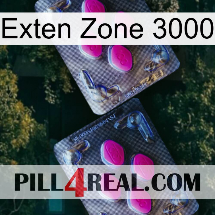 Exten Zone 3000 01